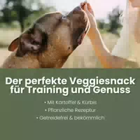 Alphazoo Couchpotatoe – Gemüse Hundesnack mit Kürbis