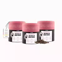 Wir Wollen Meer Chicks 3er 195 g