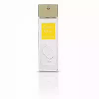 Tribute To Musk Cedro Musk Eau De Parfum Spray 100 Ml