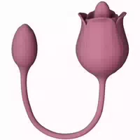 Amaysin Licking Rose Zungen Und Eiervibrator