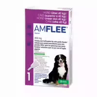 Amflee 402 Mg Lösung Zum Auftropfen Für Hunde