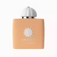 Amouage Love Delight Eau De Parfum Spray 100ml