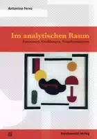 Im Analytischen Raum