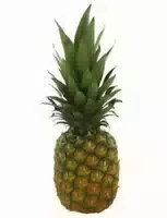 Ananas