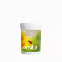 Chaga Vitalpilz 33,3 G