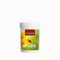 Cordyceps Vitalpilz Bio 46,8 G