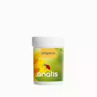 Anatis Polyporus Vitalpilz Bio