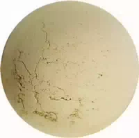 Angel Minerals Intense Concealer Refill Citrin