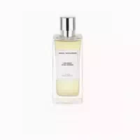 Angel Schlesser Les Eaux Dun Instant Joyful Nashi Bloom Edt 100ml 0,1 L