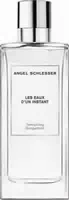 Angel Schlesser Les Eaux Dun Instant Tempting Bergamot Eau De Toilette Edt 100 ml