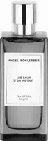 Angel Schlesser Tea Of The Night Eau De Toilette Edt 100 ml