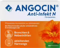 Angocin Anti Infekt N Filmtabletten 120 st