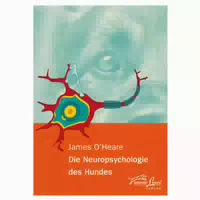 Die Neuropsychologie des Hundes