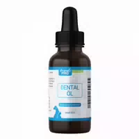 Animal Pro | Dental Öl | Pflegeöl für Hunde & Katzen | für den Maulbereich
