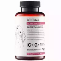 In Motion Plus Gelenktabletten für Hunde