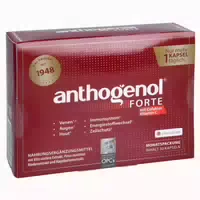 Anthogenol Forte Masquelier Original Opc Kapseln