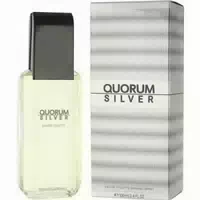 Antonio Puig Quorum Silver Eau De Toilette Spray 100ml 0,1 l