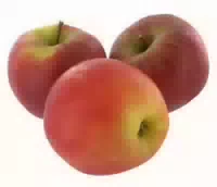 Apfel Elstar