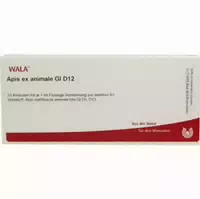 Wala Apis Ex Animale Gl D12 10 X 1 ml Ampullen
