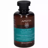 Apivita Oily Hair Ausgleichendes Shampoo