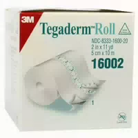 Tegaderm 3m Roll 15 Cmx10 M 16006 1 St