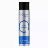 Silber Shampoo, Anti Gelbstich Shampoo für Blondes Haar 250 ml