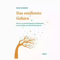 Das Achtsame Gehirn