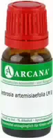 Ambrosia Artemisiaefolia Lm 6 Dilution 10ml