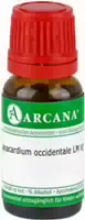 Anacardium Occidentale Lm 6 Dilution 10 ml