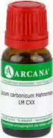 Calcium Carbonicum Hahnemanni Lm 120 Dilution 10 ml