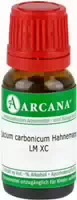Calcium Carbonicum Hahnemanni Lm 90 Dilution