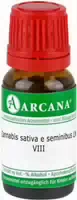 Cannabis Sativa E Seminibus Lm 8 Dilution 10 ml