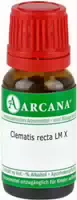 Clematis Recta Lm 10 Dilution 10 ml