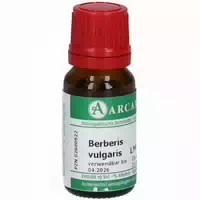 Berberis Vulgaris Lm 6 Dilution 10 ml Dilution