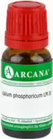 Kalium Phosphoricum Lm 4 Dilution 10 ml