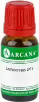 Laurocerasus Lm 5 Dilution 10 ml