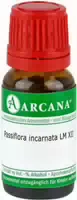 Passiflora Incarnata Lm 12 Dilutio 10 ml