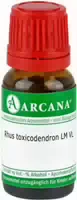 Rhus Toxicodendron Lm 45 Dilution 10 ml