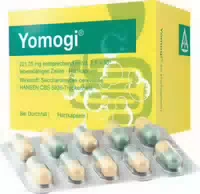 Yomogi 100 St Kapseln