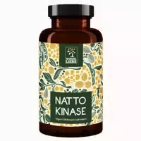 Nattokinase 100mg & 20 000 Fu G Hochdosiert 240 St