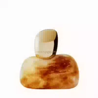 Aristocrazy Citrine Eau De Parfum Spray 100ml