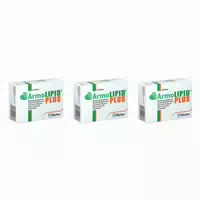 Armolipid Plus Tabletten