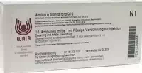 Arnica E Planta Tota D 12 Ampullen 10x1 Ml Ampullen