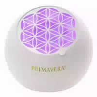 Aroma Ventilator Flower Ersatzvlies 10 St