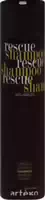 Artego Ec T Rescue Anti Hairloss Shampoo