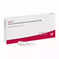 Arteria Carotis Communis Et Sinus Caroticus Gl D 8 Ampullen