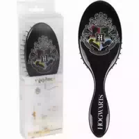 Kamm Harry Potter Schwarz