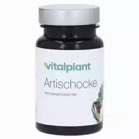 Artischocke 500 mg Extrakt Vitalplant Ka 60 st
