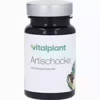 Artischocke 500 Mg Extrakt Vitalplant Ka 60 St