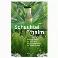 Schachtelhalm 1 St